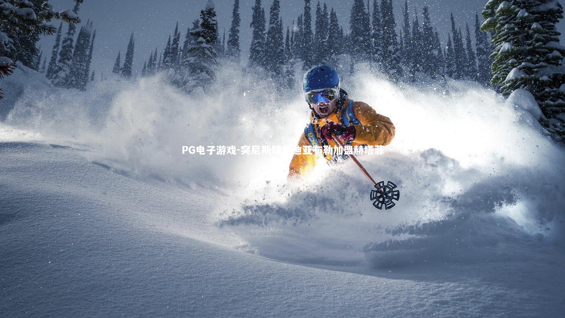 突尼斯球星迪亚布勒加盟赫塔菲