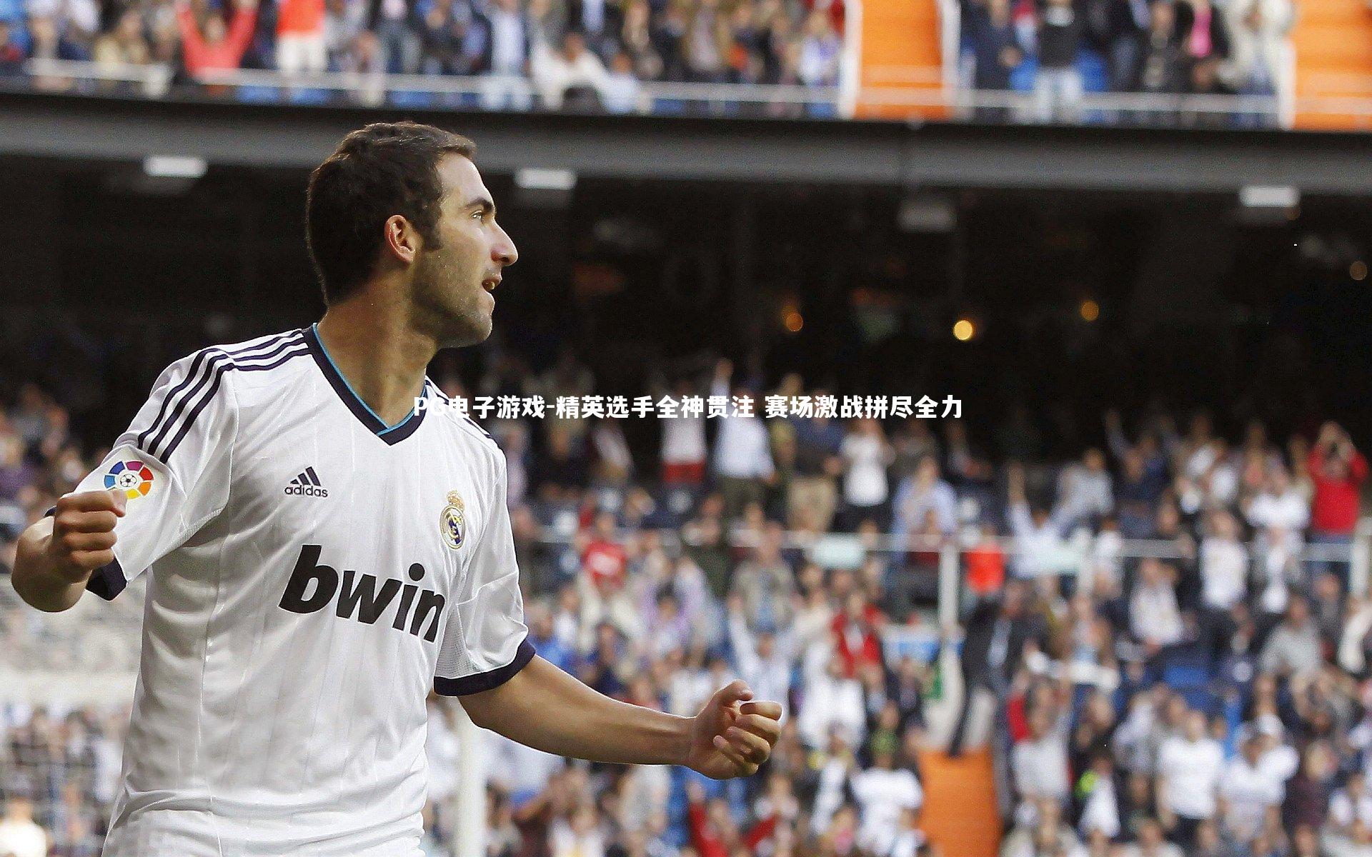 精英选手全神贯注 赛场激战拼尽全力